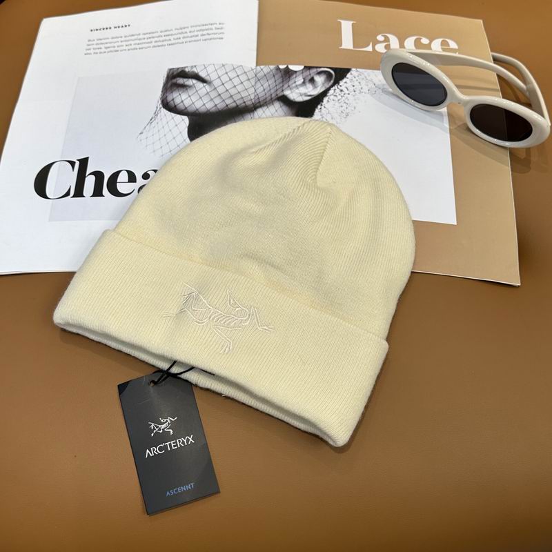 Arcteryx Hat dx (771)