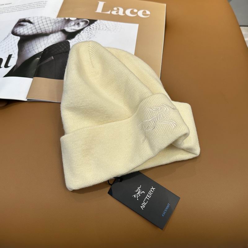 Arcteryx Hat dx (772)