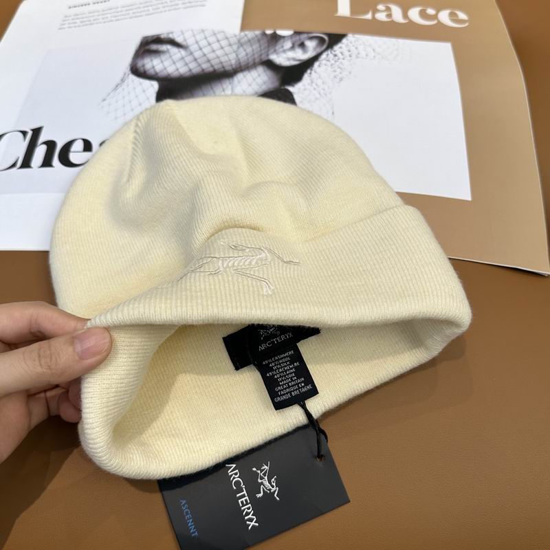 Arcteryx Hat dx (773)