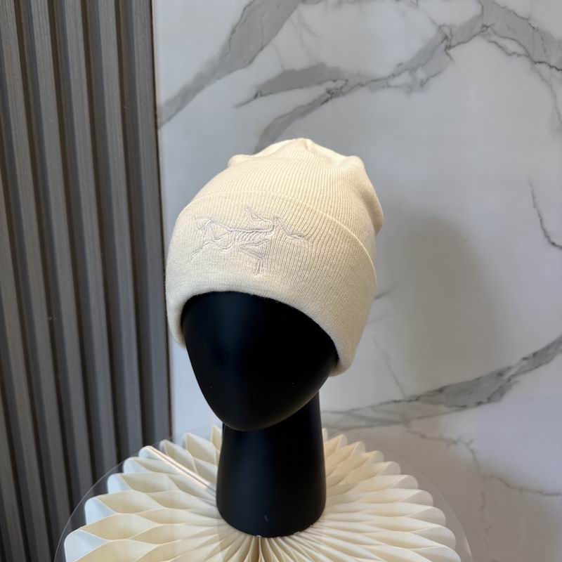 Arcteryx Hat dx (776)