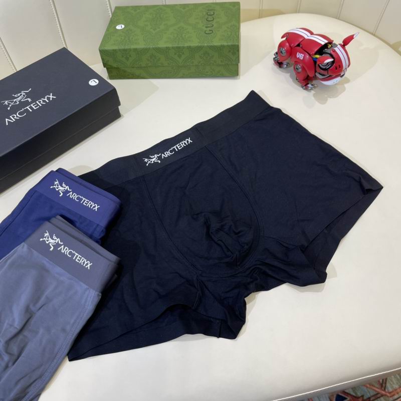 Arcteryx boxer L-3XL (6)