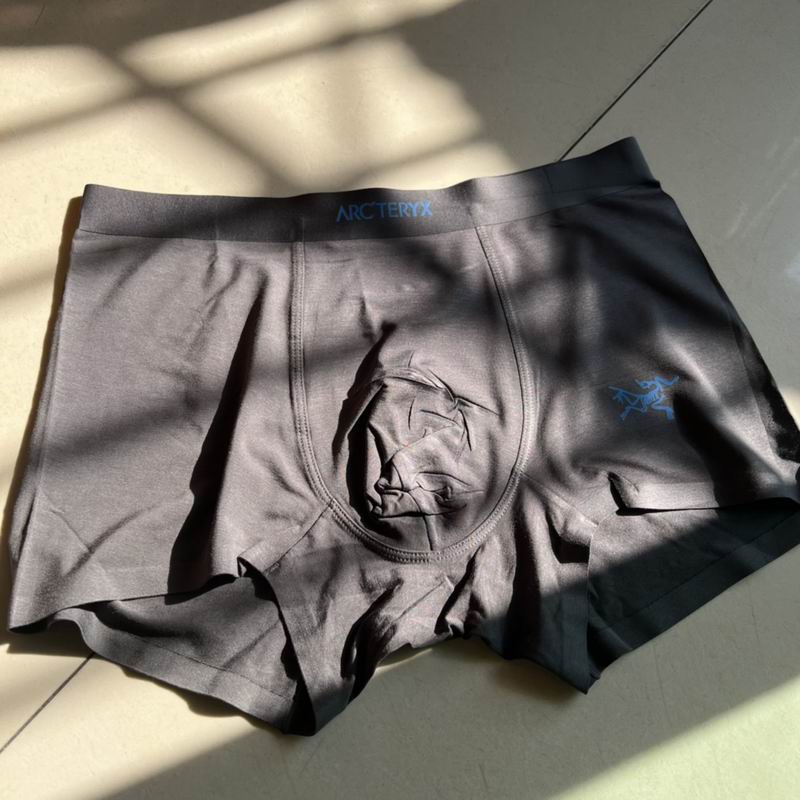 Arcteryx boxer L-3XL  (3)