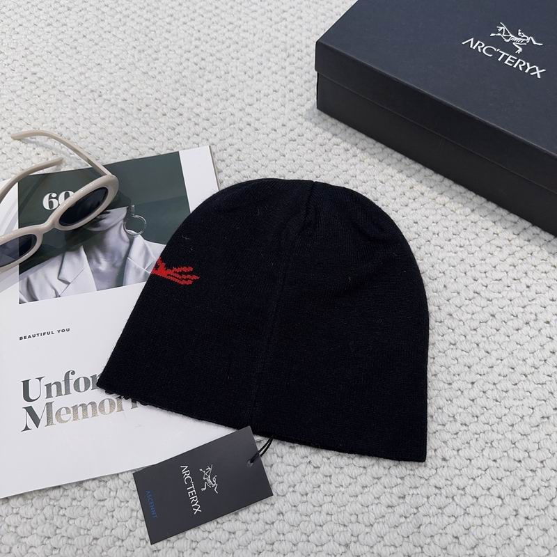 Arcteryx hat dx (1141)