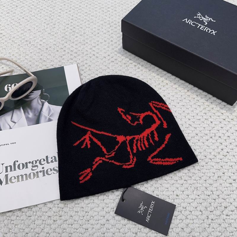 Arcteryx hat dx (1143)