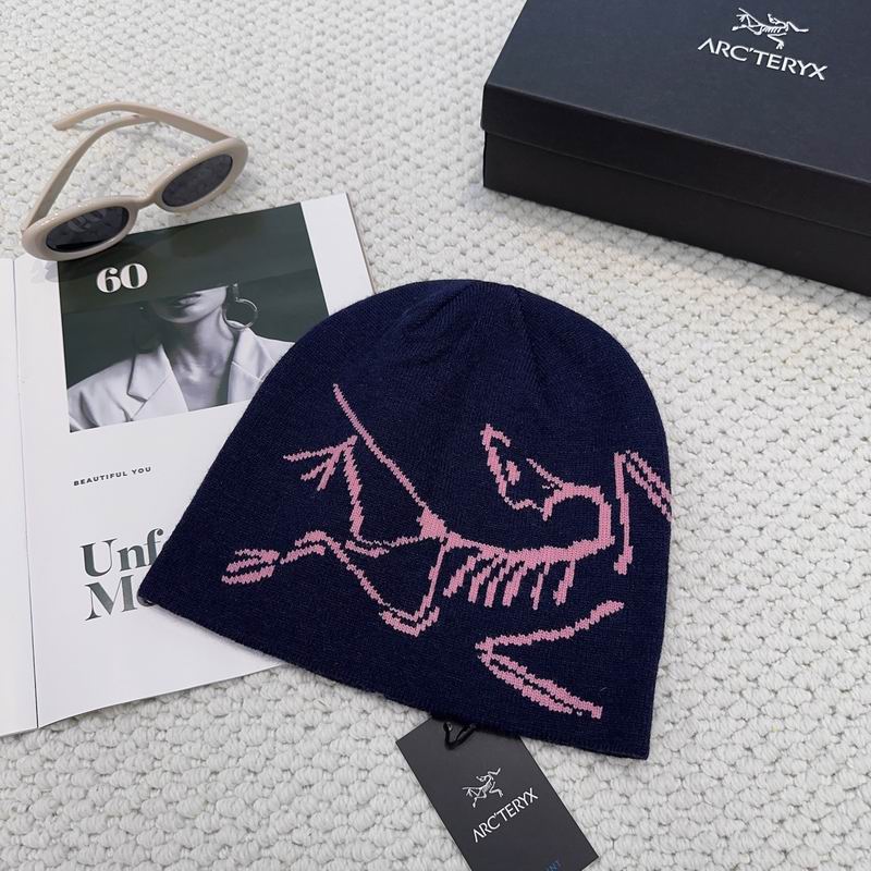 Arcteryx hat dx (1156)