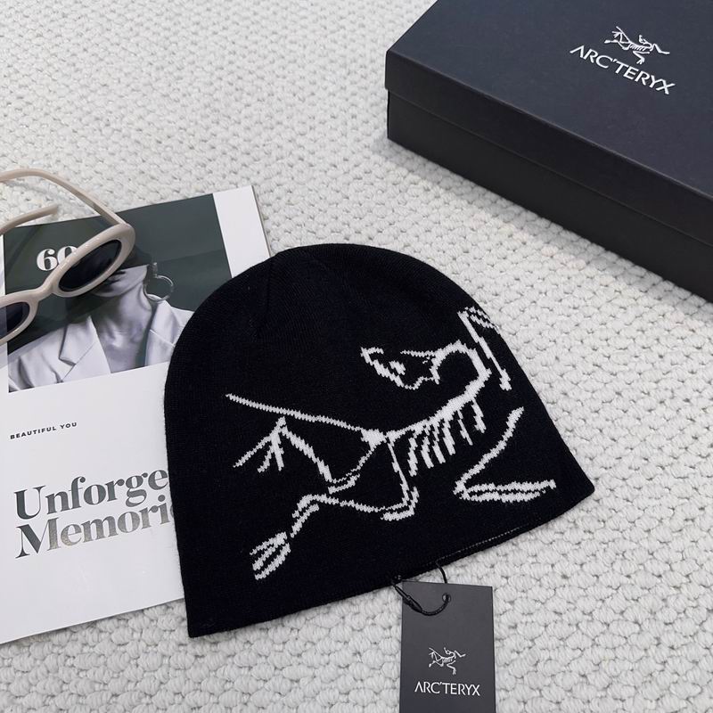 Arcteryx hat dx (1172)