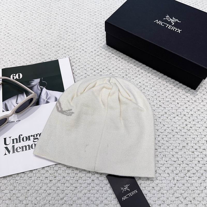 Arcteryx hat dx (1177)