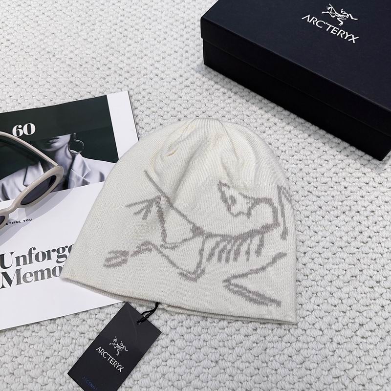 Arcteryx hat dx (1179)