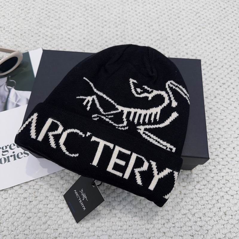 Arcteryx hat dx (1194)