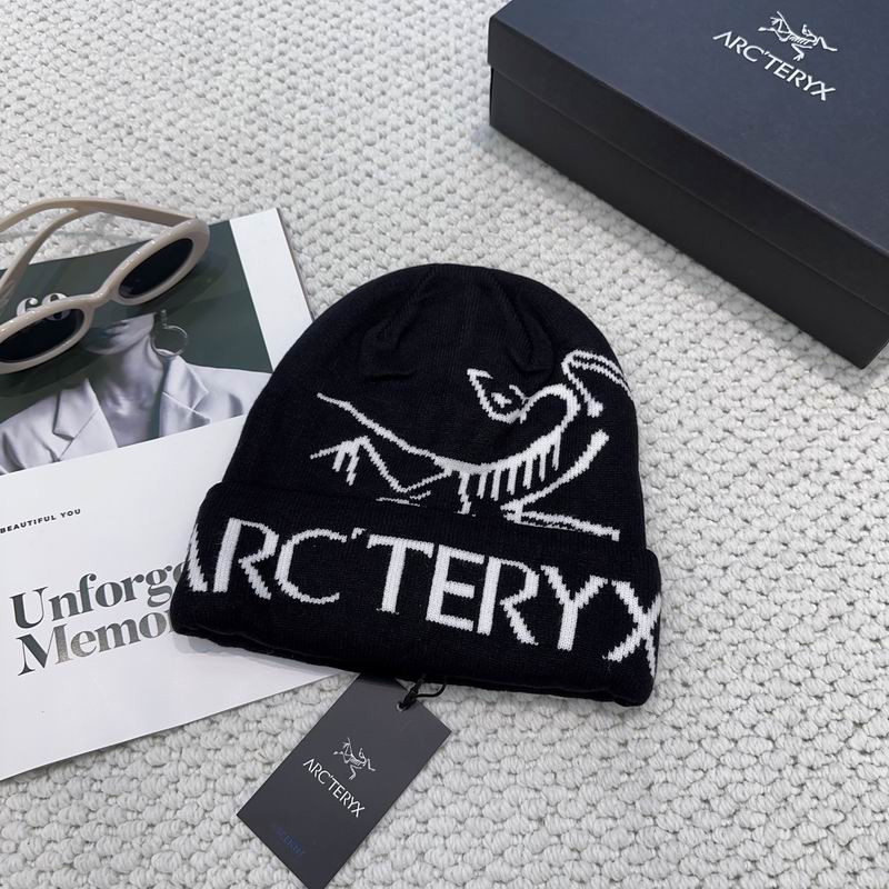 Arcteryx hat dx (1200)