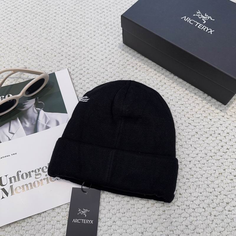 Arcteryx hat dx (1203)