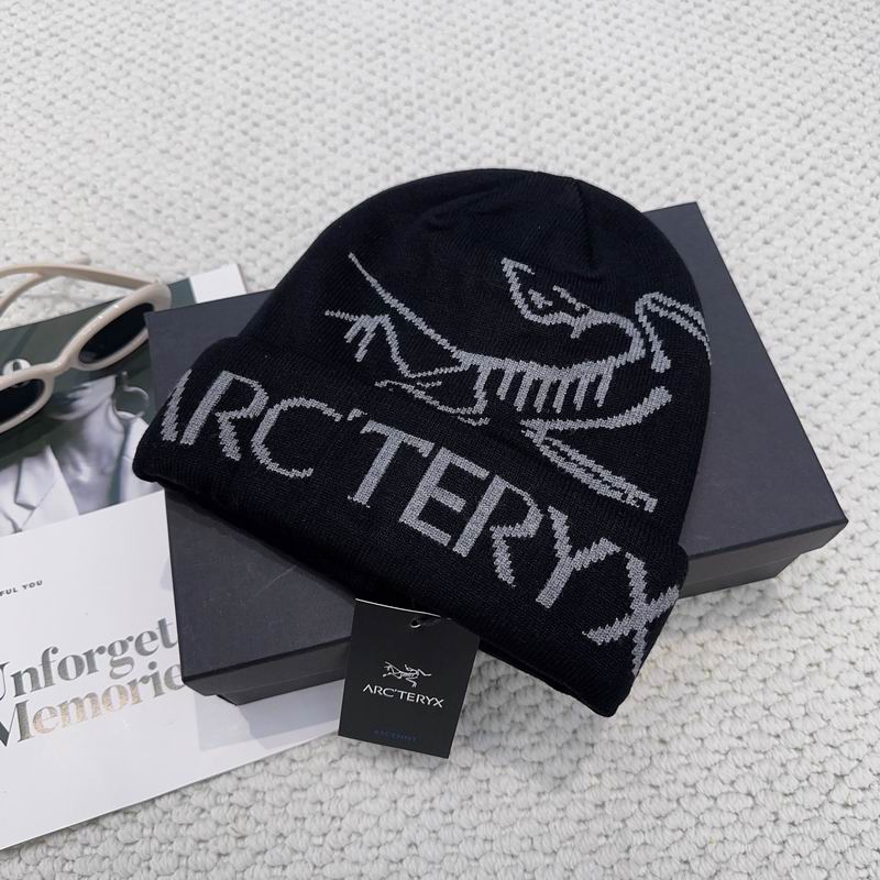 Arcteryx hat dx (1209)