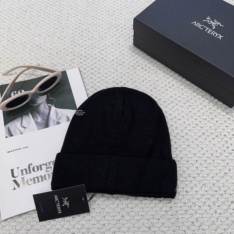 Arcteryx hat dx (1211)