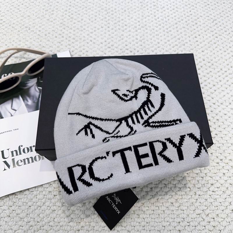 Arcteryx hat dx (1217)