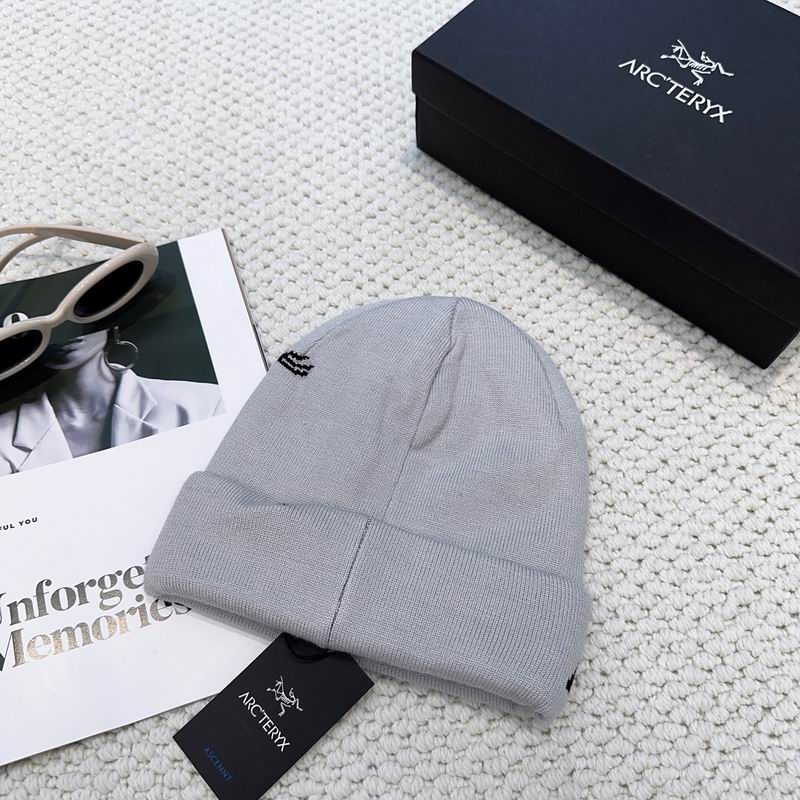 Arcteryx hat dx (1219)