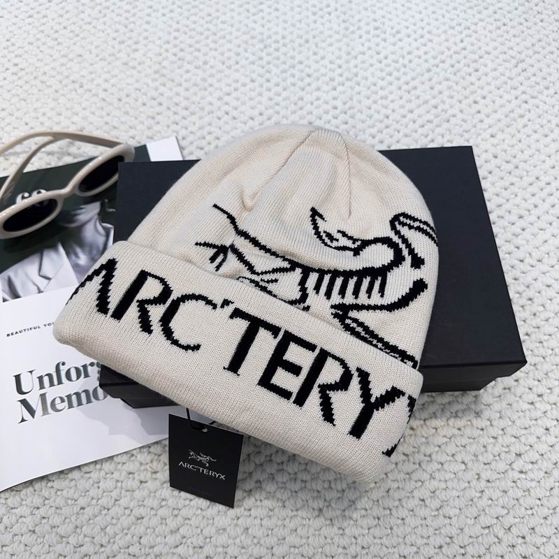 Arcteryx hat dx (1224)