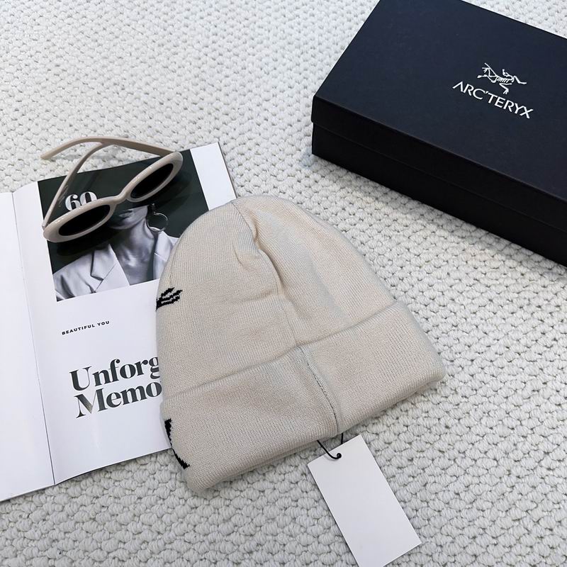 Arcteryx hat dx (1226)