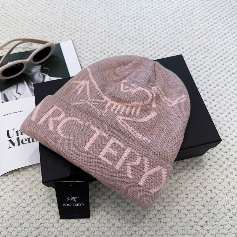 Arcteryx hat dx (1231)