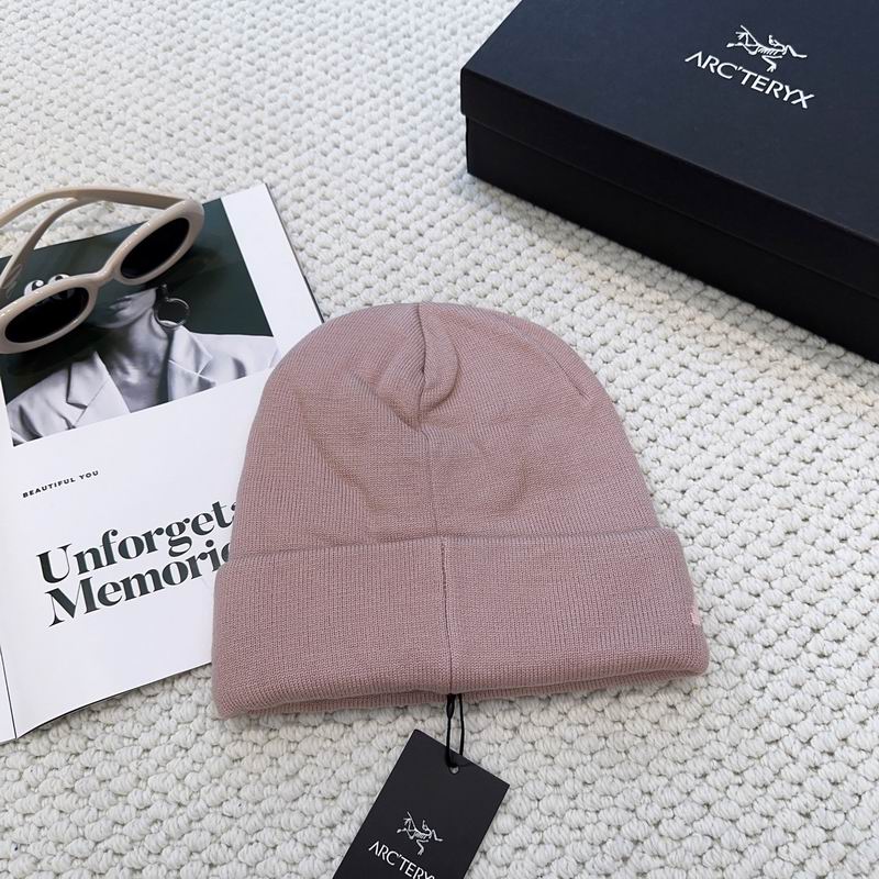 Arcteryx hat dx (1233)