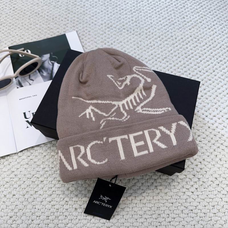 Arcteryx hat dx (1238)