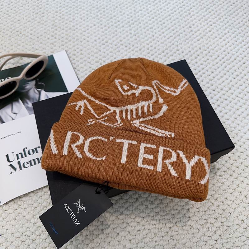 Arcteryx hat dx (1245)