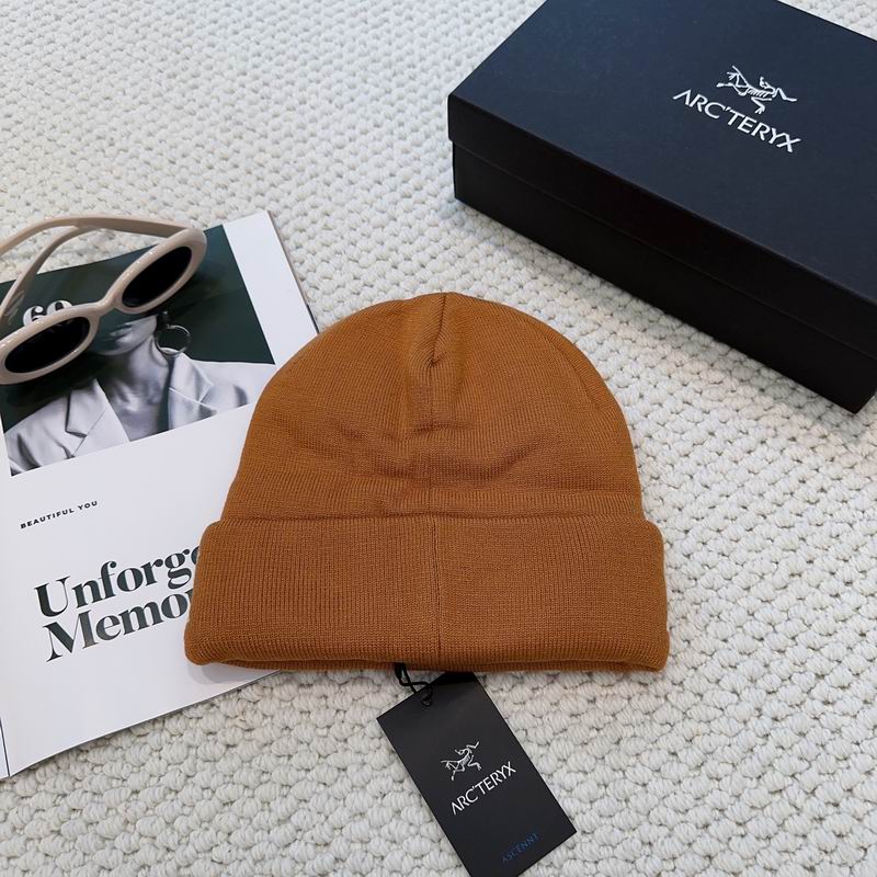 Arcteryx hat dx (1247)