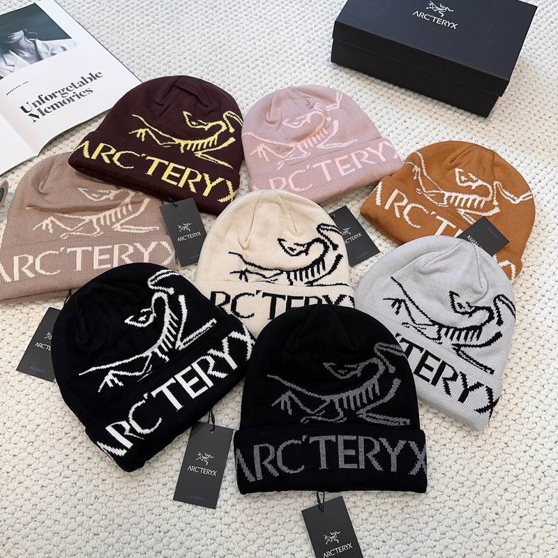 Arcteryx hat dx (1250)