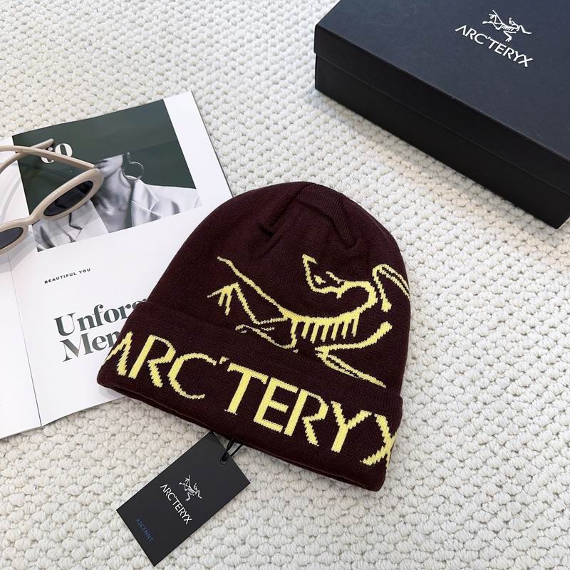 Arcteryx hat dx (1251)