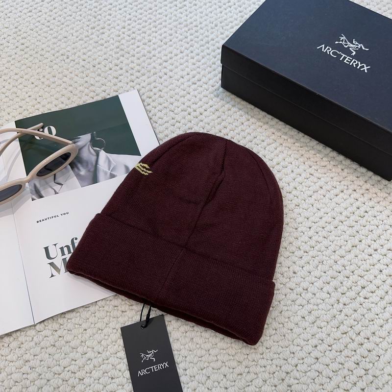 Arcteryx hat dx (1254)