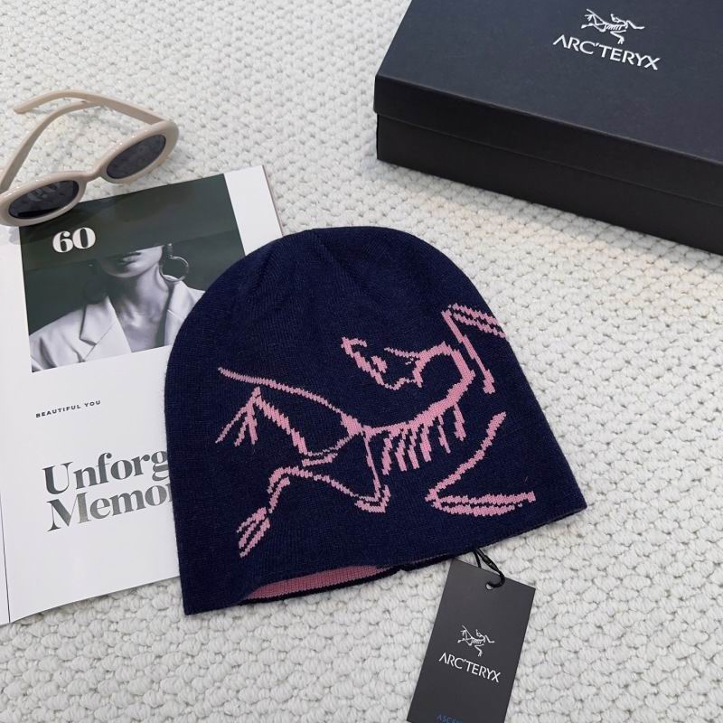 Arcteryx hat hm (12)