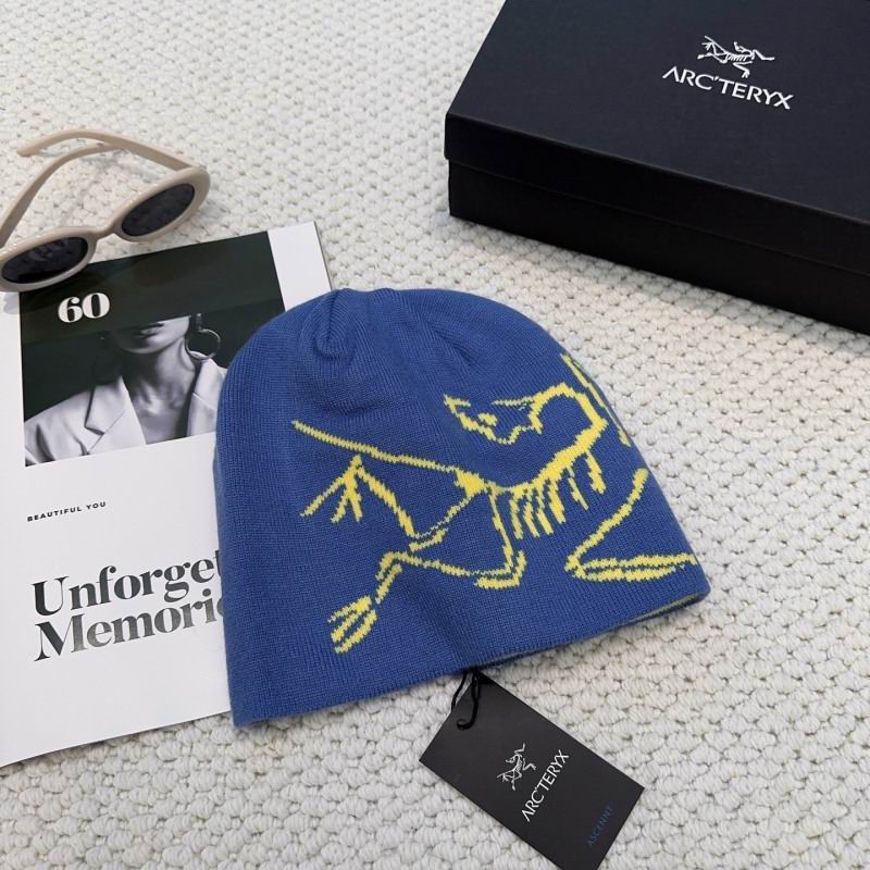 Arcteryx hat hm (13)