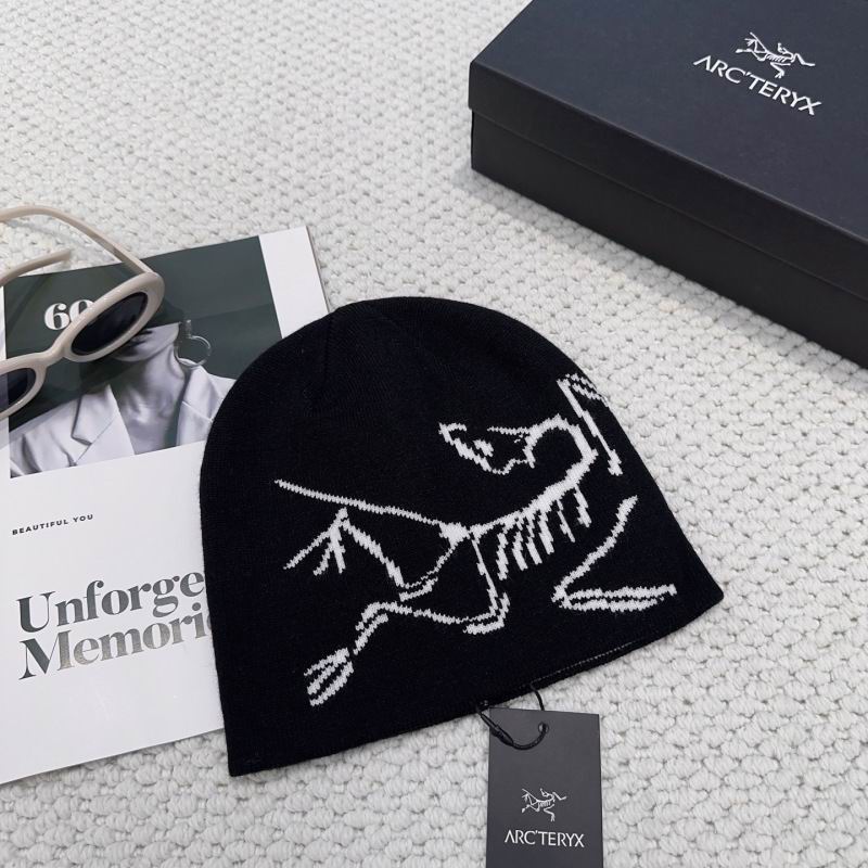 Arcteryx hat hm (14)