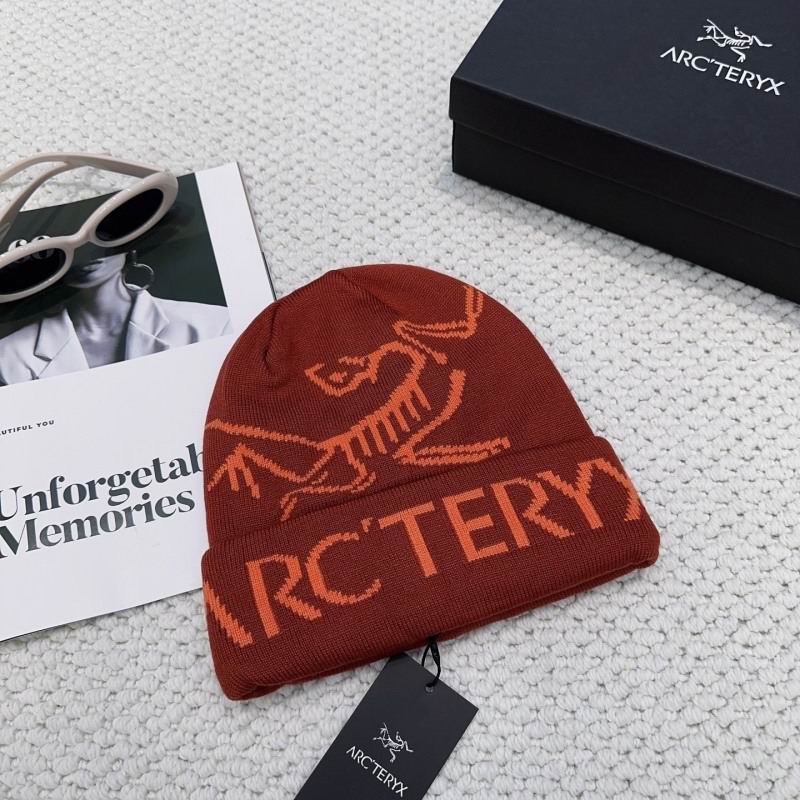 Arcteryx hat hm (17)