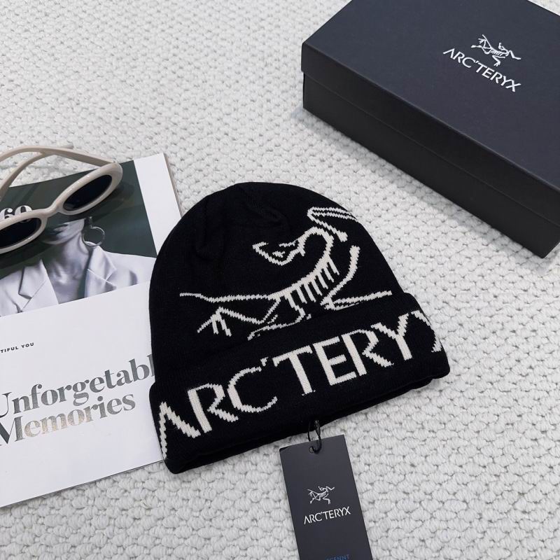 Arcteryx hat hm (18)