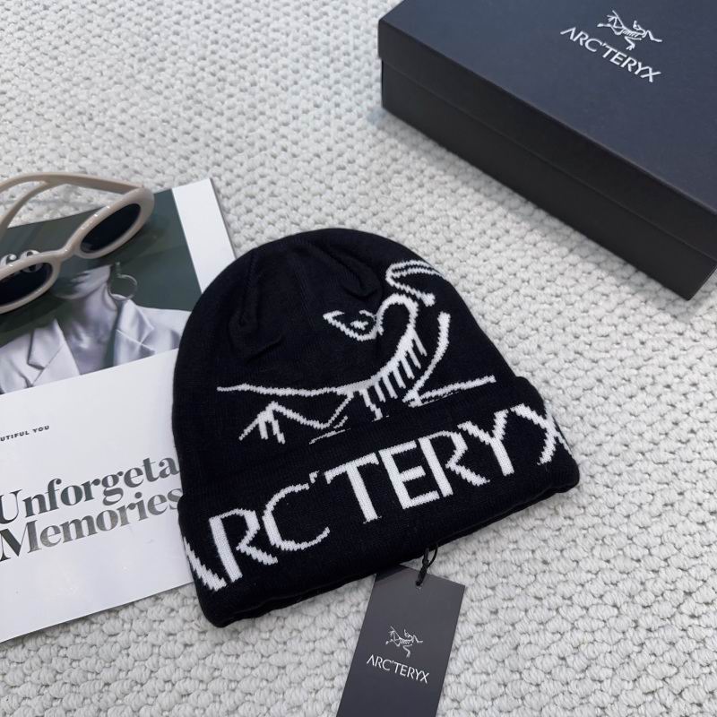 Arcteryx hat hm (19)