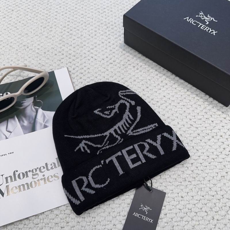 Arcteryx hat hm (20)