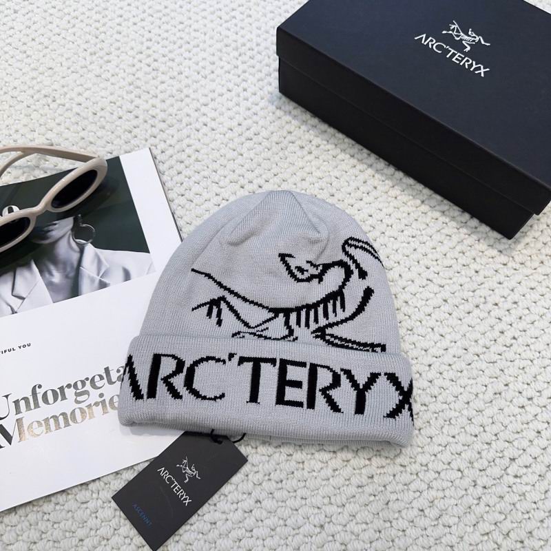 Arcteryx hat hm (21)