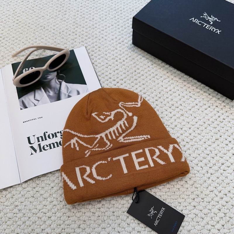 Arcteryx hat hm (25)