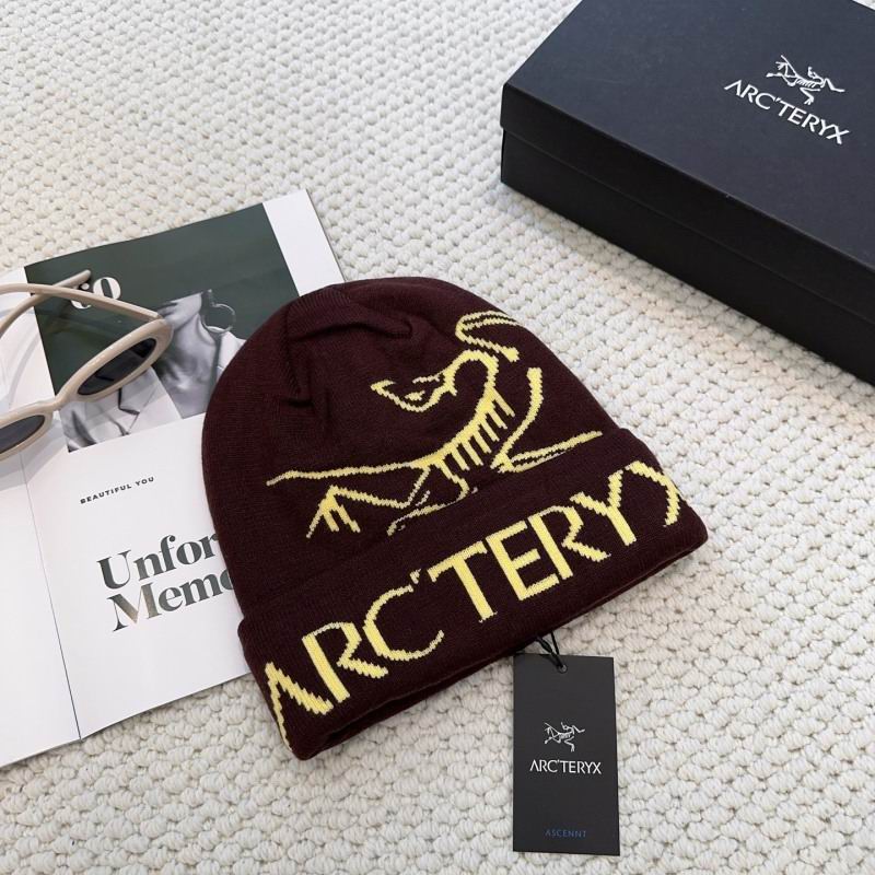 Arcteryx hat hm (26)