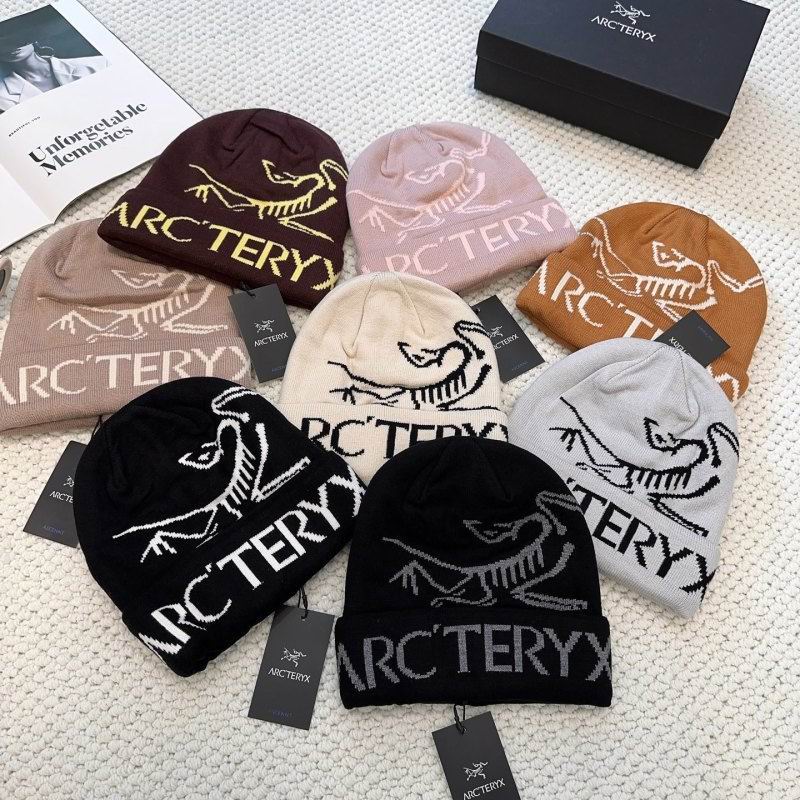 Arcteryx hat hm (27)