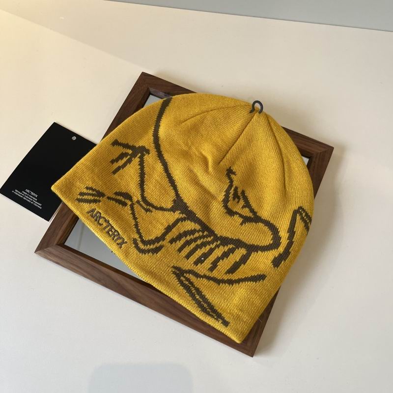 Arcteryx hat hm (28)