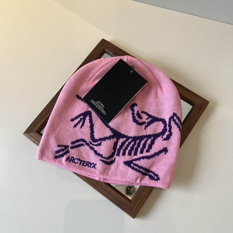 Arcteryx hat hm (29)