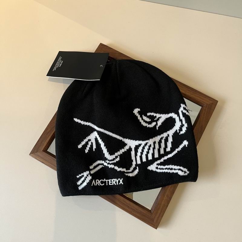 Arcteryx hat hm (30)