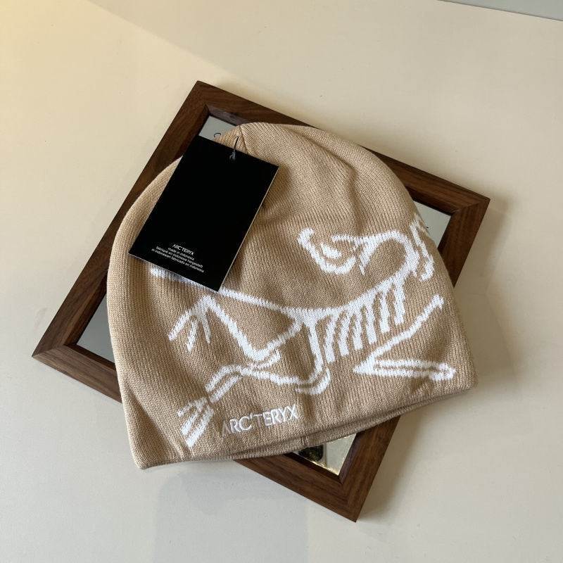 Arcteryx hat hm (31)