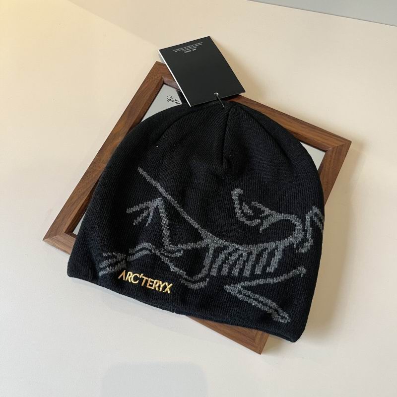 Arcteryx hat hm (32)