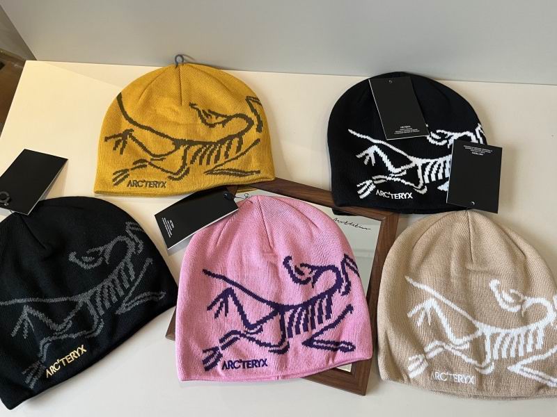 Arcteryx hat hm (33)