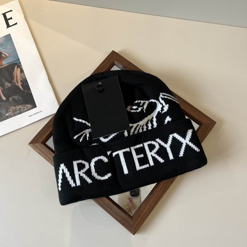 Arcteryx hat hm (35)