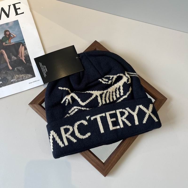 Arcteryx hat hm (36)