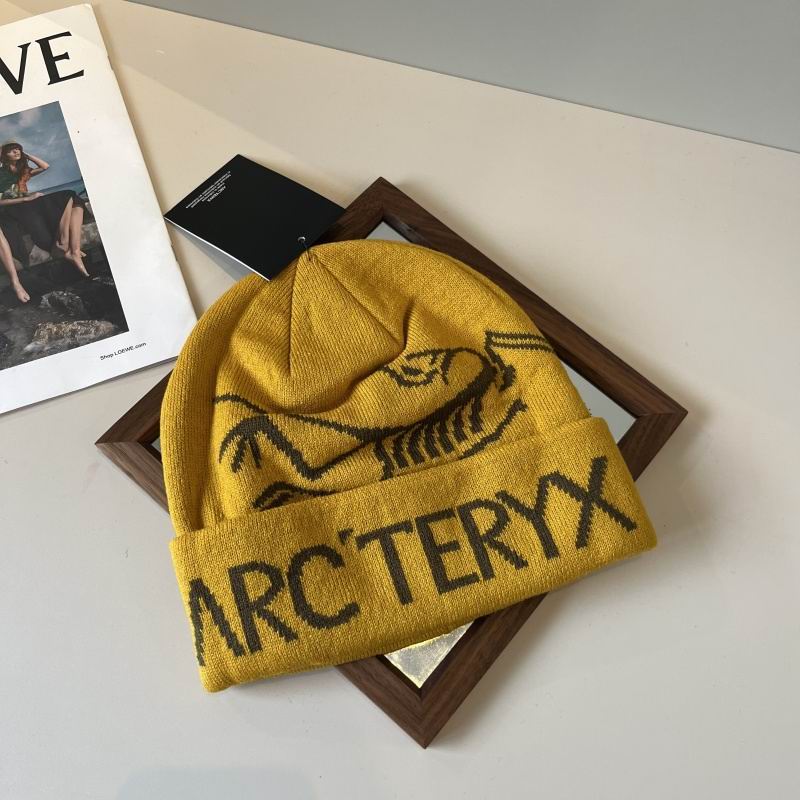 Arcteryx hat hm (37)