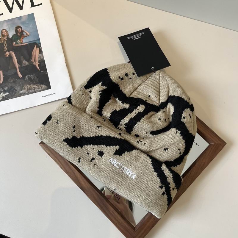 Arcteryx hat hm (39)